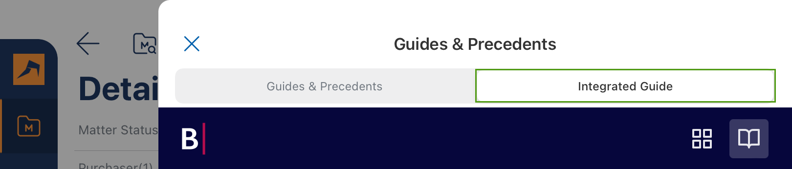IGV4 Integrated tab on iPad.png